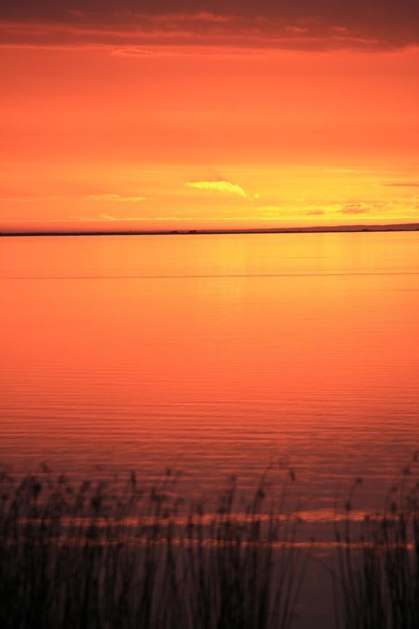 Lake Albert Motel Meningie Bagian luar foto