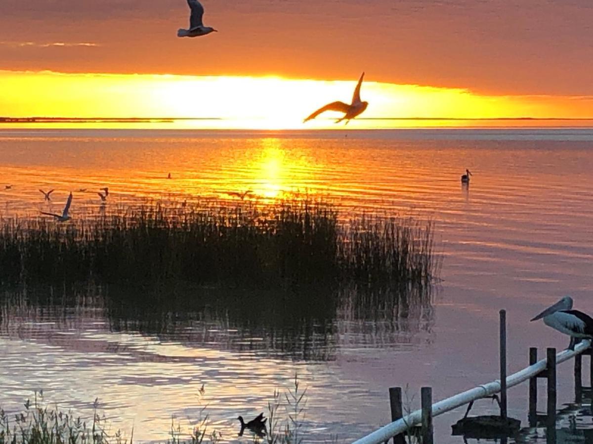 Lake Albert Motel Meningie Bagian luar foto